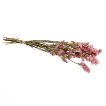 tételeket Strand Lila Pink Limonium Szárított Virágok 60cm 50g
