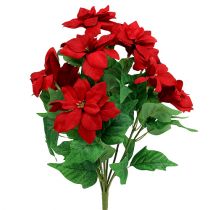 Csokor Mikulásvirág piros L47cm