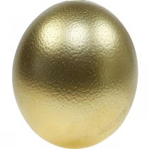 Strucctojás dekoráció kifújva Húsvéti dekoráció arany Ø12cm H14cm