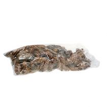 tételeket Strobus kúpok 15 - 20cm festve 100 db