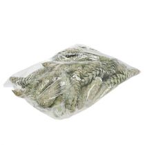 tételeket Strobus kúpdísz almazöld fehér mosott 15-20cm 50 db