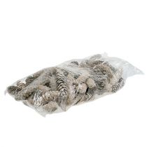 tételeket Strobus kúpok 15cm - 20cm fehér mosott 50 db