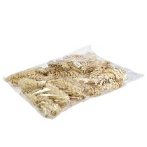 tételeket Strobus fehérített 15cm-20cm 50 db