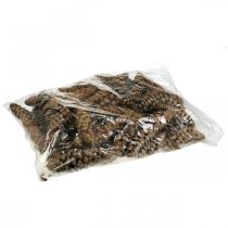 tételeket Fenyőtoboz Fehér fenyő Strobus Natural Vegyes 2,5kg
