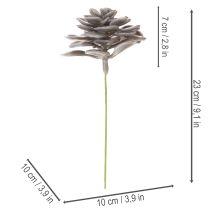 tételeket Mesterséges pozsgás viaszvirág dekoráció 10cm 6db