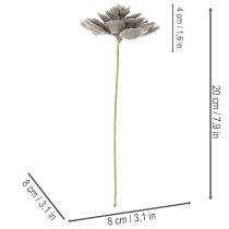 tételeket Mesterséges pozsgás viasz műnövény dróttal 8cm 8db