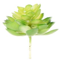 tételeket Mesterséges pozsgás növény, zöld, dekorációnak tálban vagy vázában, 10 cm, 4 darab