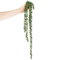 tételeket Mesterséges növény függő girland pozsgás dekoráció nappali