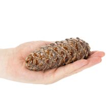 tételeket Kerámia fenyőtoboz dekoráció, asztaldísz, őszi, 14cm, 3 darab