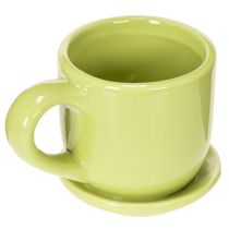 tételeket Kávéscsésze, dekoratív asztaldísz stílusos szobadizájnhoz növényekkel, 11 cm, 3 darab