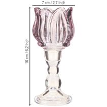 tételeket Tealight üveg tulipán teamécses tartó üveg lila Ø7cm H16cm 2db
