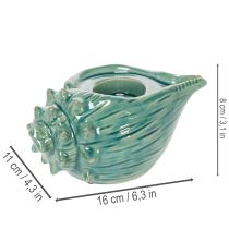 tételeket Teamécses tartó kagyló alakú asztali gyertya fürdőszoba nappali 16cm