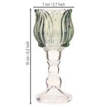 tételeket Gyertyatartó tulipános pohár teamécses üveg zöld Ø7cm H16cm 2db