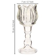 tételeket Gyertyatartó tulipános teamécses pohár átlátszó talppal Ø7cm H16cm 2db