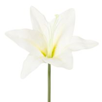 tételeket Műfehér tigrisliliom vázákba és kompozíciókba, 29 cm-es csokor, 6 db-os