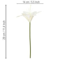 tételeket Műfehér tigrisliliom vázákba és kompozíciókba, 29 cm-es csokor, 6 db-os