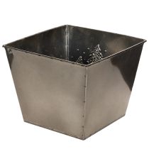 tételeket Négyzet alakú fém virágcserép fenyő motívummal, 18 cm