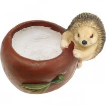 tételeket Ültetőgép, alma sünnel, őszi dekoráció, cachepot, kerámia Ø16cm H22cm Szé33cm