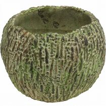 tételeket Ültetőbeton antik megjelenésű zöld, barna virágcserép kerek Ø15,5cm