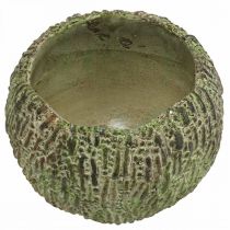 tételeket Beton virágtartó, antik hatású, zöld és barna, kerek virágcserép, Ø15,5 cm