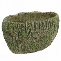 tételeket Ültetőbeton ovális antik megjelenés zöld, barna 24×14×13cm
