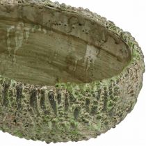 tételeket Ültetőbeton ovális antik megjelenés zöld, barna 24×14×13cm