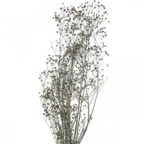 Szárított virág Massasa fehér deco ágak 50-55cm csokor 6db