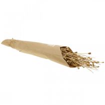 tételeket Szárított virágok mák kapszula természetben szárított vadon szárított dekorációs csokor 100g