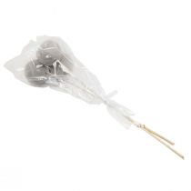 tételeket Szárított virágú dekoratív csengőcsészék száron szürke 37cm 3 db