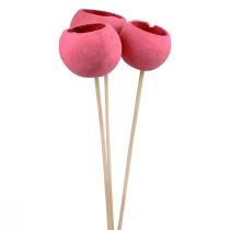 tételeket Szárított virág dekoratív csengőcsészék száron rózsaszín 42cm 3db