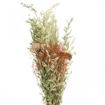 tételeket Csokor szárított virág gabona és mák száraz dekoráció 60cm 100g