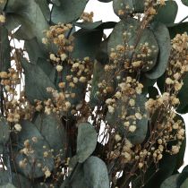 tételeket Szárított virágcsokor eucalyptus gypsophila tartósított 50cm zöld