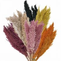 Szárított fű Szárított sás különböző színekben 70cm 10db