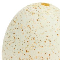 tételeket Pulyka tojás természetes húsvéti dekoráció igazi madártojás 6,5 cm 10 db