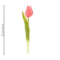 tételeket Kiváló minőségű tulipánvirág, élethű másolatként asztali vázákba, 21 cm, 6 darab