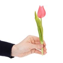 tételeket Kiváló minőségű tulipánvirág, élethű másolatként asztali vázákba, 21 cm, 6 darab