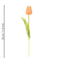 tételeket Műtulipánok tavaszi dekorációhoz, nappaliba és konyhába, élethű megjelenéssel, 30 cm, 7 darab