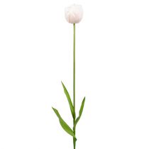 Tulipán fehér-rózsaszín 86cm 3db