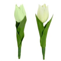 Tavaszi dekoráció, műtulipán, selyemvirág, dekor tulipán zöld/krém 12 db