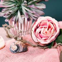 tételeket Turbánhéj alikreukel natúr 500g