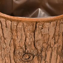 tételeket Kaspó fa kerek kaspó fenyőkéreg Ø15cm M12.5cm