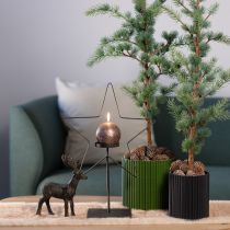 tételeket Papír Virágcserép Fekete Ø19cm M14cm 3 db