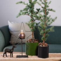 tételeket Ültetőpapír sötétzöld virágcserép Ø19cm M14cm 3 db