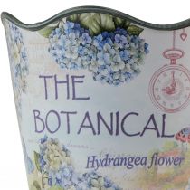 tételeket Ültetős műanyag virágcserép nyári hortenzia Ø16,5cm H13,5cm