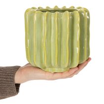 tételeket Kaktusz virágcserép, ideális tál egzotikus otthoni kiegészítőkhöz, 16 cm