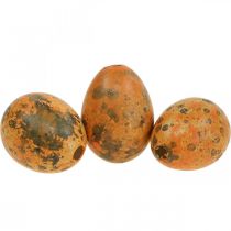 tételeket Fürjtojás dekoráció fújt tojás narancssárga sárgabarack 3cm 50db