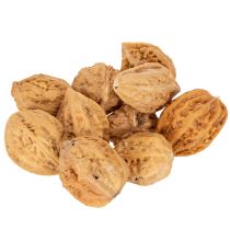 tételeket Dió, egy természetes termék asztaldíszítéshez és barkácsoláshoz. Természetes dió, 4-5 cm, 300 g.