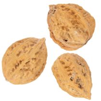 tételeket Dió, egy természetes termék asztaldíszítéshez és barkácsoláshoz. Természetes dió, 4-5 cm, 300 g.