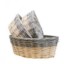 tételeket Fonott kosár ültetéshez Növénytál L29/33/38cm 3 db-os készlet