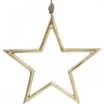 tételeket Karácsonyi dekoráció csillag, Adventi dekoráció, csillag medál Arany B24,5cm